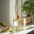 Tropical Breeze Coconut & Lime Reed Diffuser