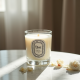 Diptyque Do Son Luxury Candle & Perfume Set