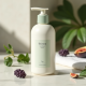 Cassis Bliss Fig Nourishing Hand Lotion